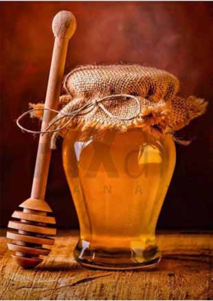 Bal Kavanozu 38 x 51 Elmas Mozaik Tablo