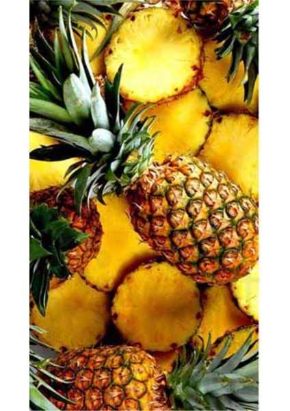 Ananas 30 x 51 Elmas Mozaik Tablo