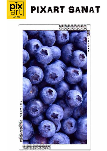 Yaban Mersinleri 40 x 60 Elmas Mozaik Tablo fırsatları