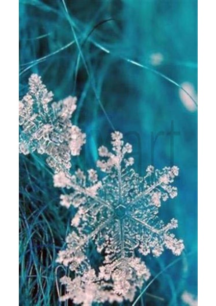Bir Kar Tanesi PixArt Sanat Elmas Mozaik Tablo Diamond Türkiye 45*76