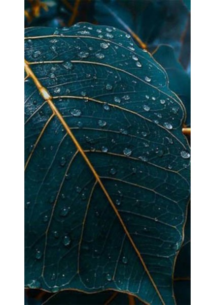 Yesil Ve Altin Renkli Yaprak 40 x 60 Elmas Mozaik Tablo