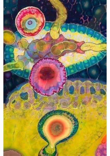 Hücre Desen Pixart Sanat Elmas Mozaik Tablo Diamond Türkiye 60*91