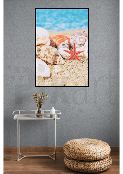 Deniz Yildizi Ve Deniz Kabuklari 40 x 60 Elmas Mozaik Tablo modelleri