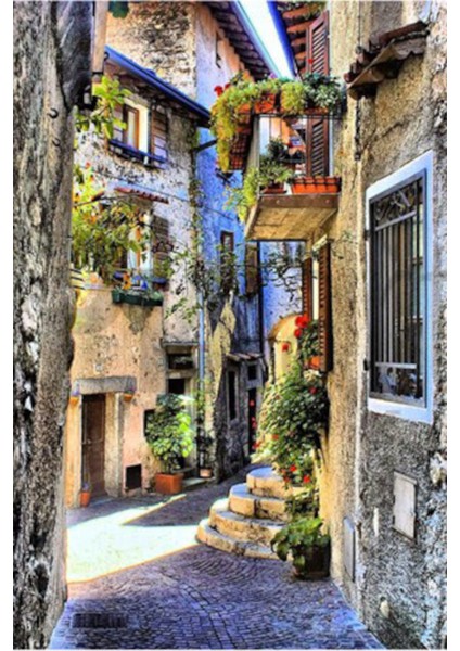 Cicekli Sokak 40 x 50 Elmas Mozaik Tablo