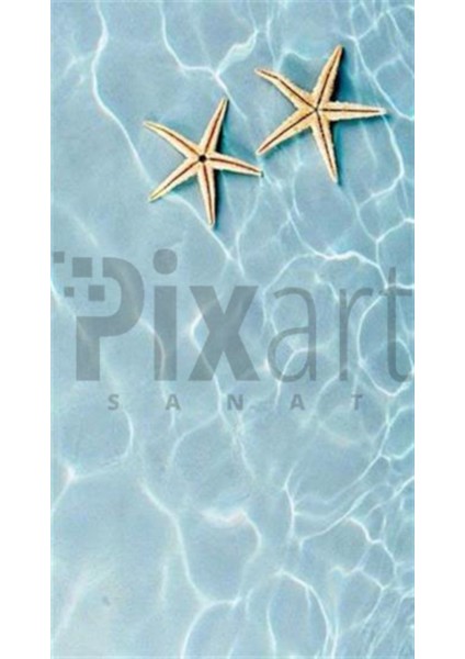 Minik Deniz Yıldızları Pixart Sanat Elmas Mozaik Tablo Diamond Türkiye 33*61