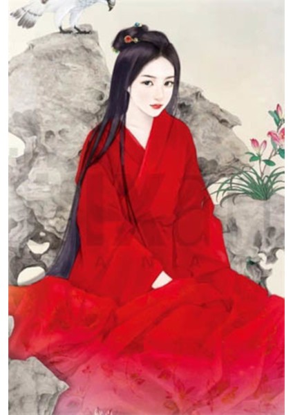 Kirmizi Elbiseli Japon Kadin 40 x 60 Elmas Mozaik Tablo