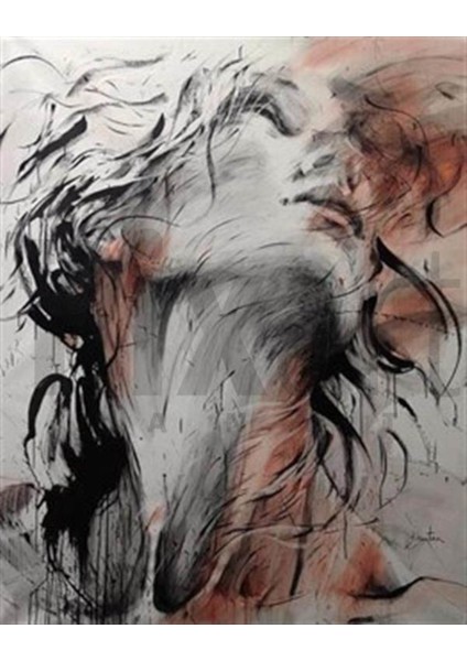 Içimdeki Fırtına 58 x 74 cm