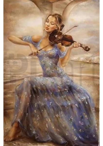 Keman Çalan Kadın 48 x 74 cm