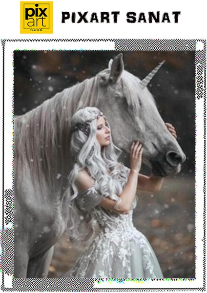 Beyaz Saçlı Kız ve At Pixart Sanat Elmas Mozaik Tablo Diamond Türkiye 42*53 fırsatları