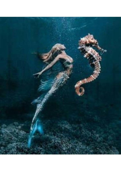 Deniz Atı ve Deniz Kızı Pixart Sanat Elmas Mozaik Tablo Diamond Türkiye 58*66