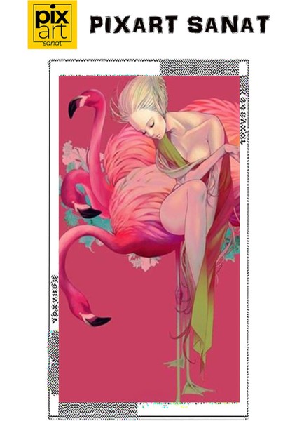 Flamingo ve Kadın Pixart Sanat Elmas Mozaik Tablo Diamond Türkiye 48*83 fırsatları
