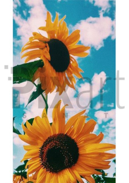 Bulutlar Ve Aycicegi 46 x 76 Elmas Mozaik Tablo