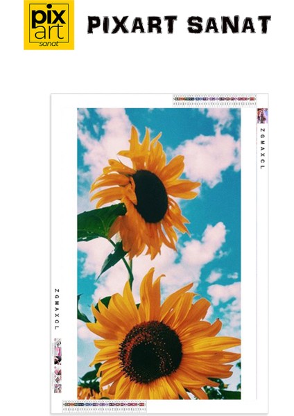 Bulutlar Ve Aycicegi 46 x 76 Elmas Mozaik Tablo fırsatları