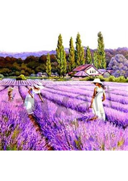 Lavanta Kokulu Tarla Pixart Sanat Elmas Mozaik Tablo Diamond Türkiye 52*52