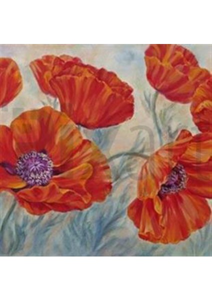 Kırmızı Gelincik Çizimi Pixart Sanat Elmas Mozaik Tablo Diamond Türkiye 50*53