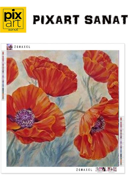 Kırmızı Gelincik Çizimi Pixart Sanat Elmas Mozaik Tablo Diamond Türkiye 50*53 fırsatları