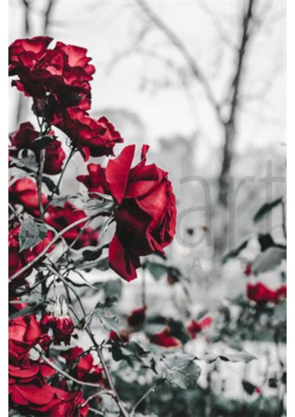 Gul Bahcesi 40 x 60 Elmas Mozaik Tablo