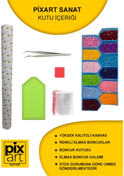 Lavanta Kokulu Tarla Pixart Sanat Elmas Mozaik Tablo Diamond Türkiye 52*52 indirimleri