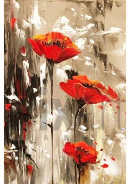 Yagli Boya Gelincik 40 x 60 Elmas Mozaik Tablo