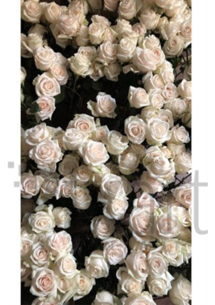 Beyaz Guller 38 x 64 Elmas Mozaik Tablo