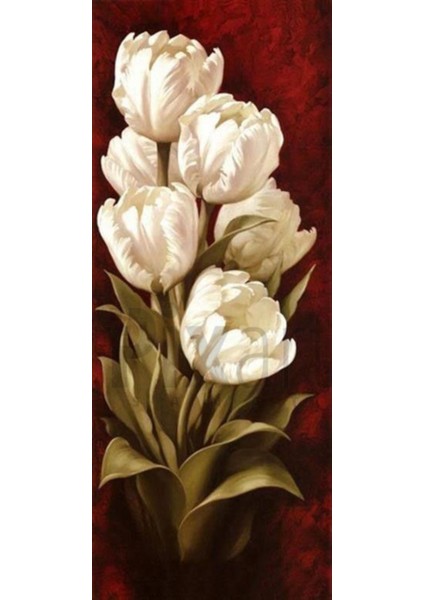 Zarif Laler Pixart Sanat Elmas Mozaik Tablo Diamond Türkiye 27*68