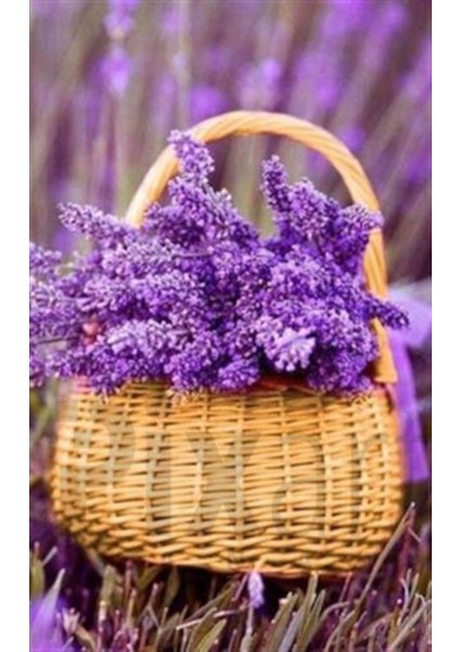 Hasır Sepetteki Mor Lavantalar Pixart Sanat Elmas Mozaik Tablo Diamond Türkiye 40*63