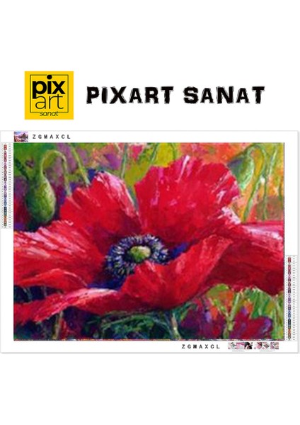 Gelincik Çizimi Pixart Sanat Elmas Mozaik Tablo Diamond Türkiye 71*53 fırsatları