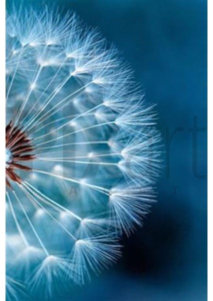 Işıltılı Karahindiba Pixart Sanat Elmas Mozaik Tablo Diamond Türkiye 48*68