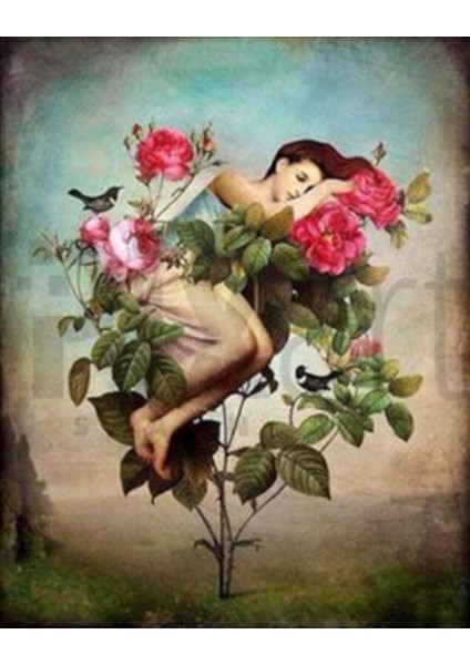 Güllerin Içinden Doğum Pixart Sanat Elmas Mozaik Tablo Diamond Türkiye 60*76