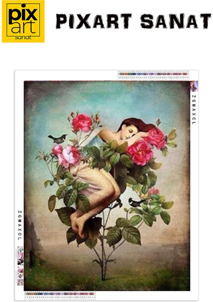Güllerin Içinden Doğum Pixart Sanat Elmas Mozaik Tablo Diamond Türkiye 60*76 fırsatları