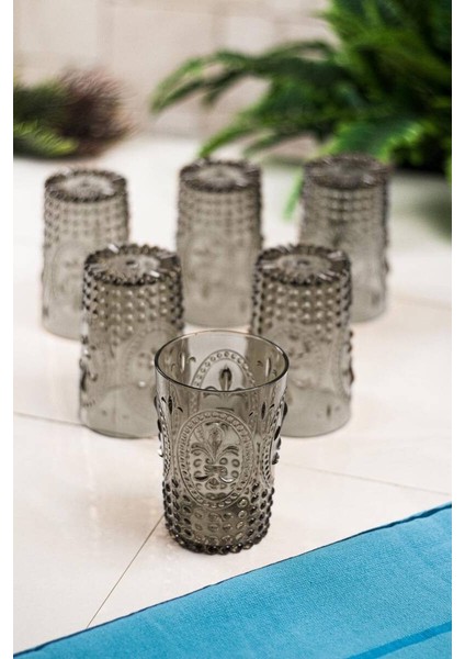Akrilik Füme 6 Lı Kısa Bardak