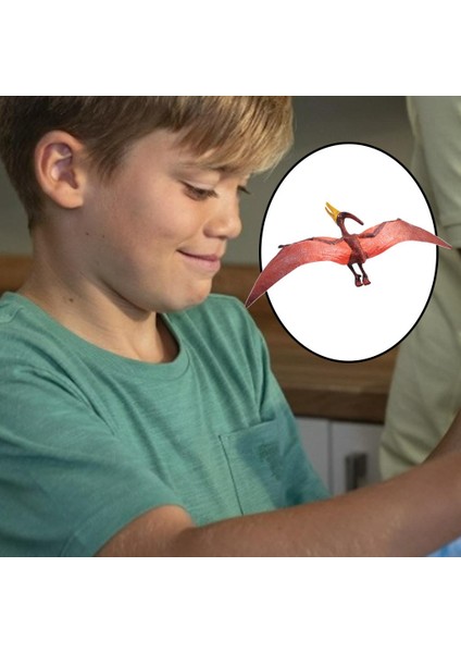 Simülasyon Dinozor Pterosaur Figürleri Hediye Kırmızı Pterodaktiller (Yurt Dışından)