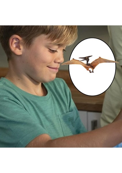 Dinozor Pterosaur Figürleri Hediye Pterodaktil (Yurt Dışından)