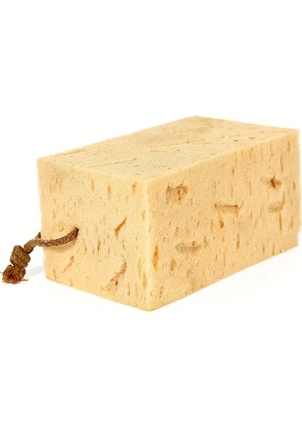 Oto Yıkama Süngeri Büyük Boy fiyatları