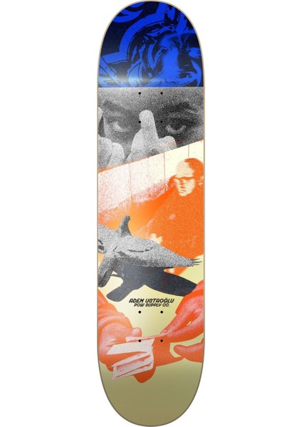 Supply Co 8,25 Adem Kaykay Tahtası