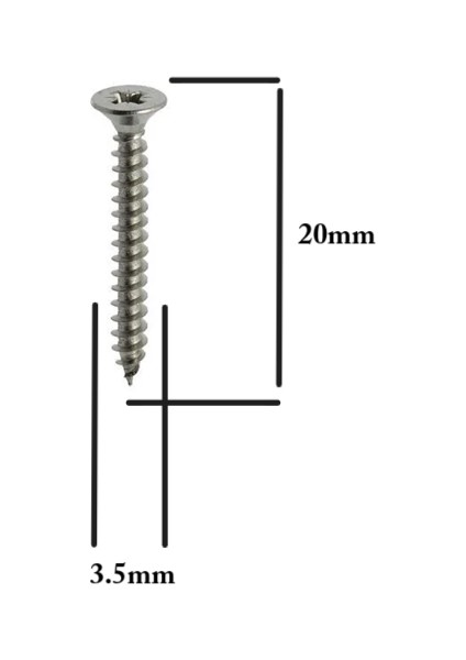Sunta Vidası 3.5X20MM Ahşap Vida Raf Vidası Ahşap Tahta Mobilya Vidası Kısa Vida 100 Adet