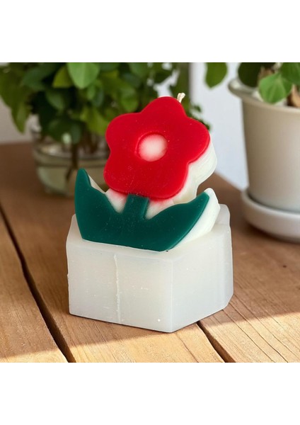 Çiçek Mum Silikon Kalıp