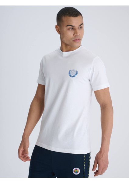 Erkek Kolej Establıshed Tshırt fiyatları