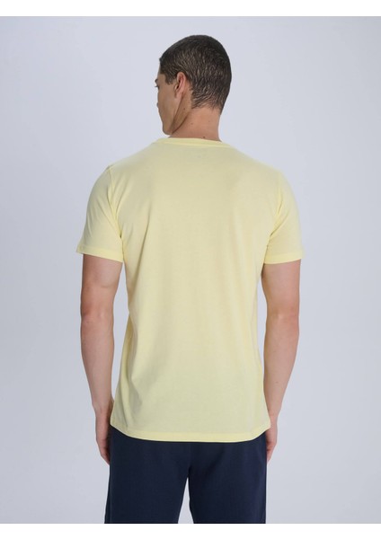 Erkek Trıbun Fenerbahçe Tshırt fiyatları