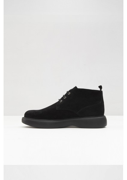 Sirius-Tr Bot Günlük Bot - Siyah modelleri