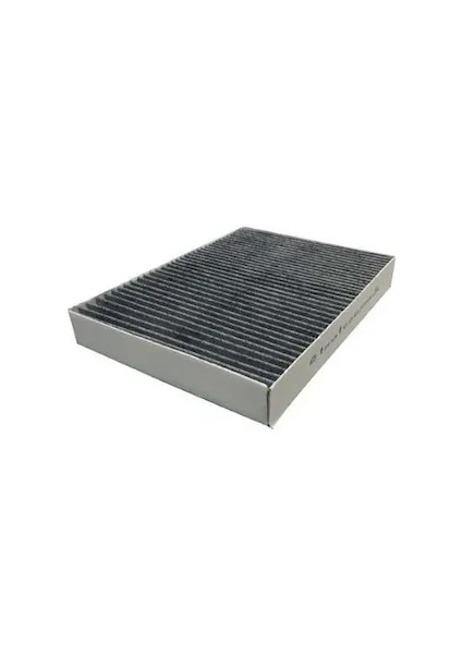 Polen Filtresi Karbonlu Trafıc 1.6dcı