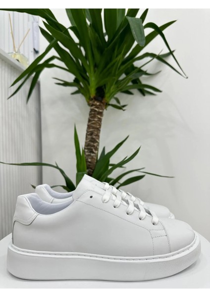 Hakiki Deri Günlük Sneaker Erkek Ayakkabı