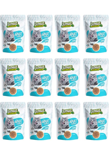 Pouch Yetişkin Kedi Somon Parçalı 100 Gr. (12 Adet)