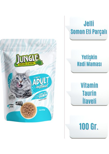 Pouch Yetişkin Kedi Somon Parçalı 100 Gr. (12 Adet)