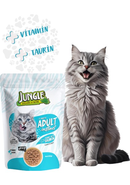 Pouch Yetişkin Kedi Somon Parçalı 100 Gr. (12 Adet)