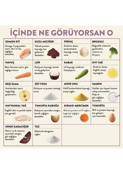 Fresh Somon Etli Kedi Yemeği 85 gr indirimleri