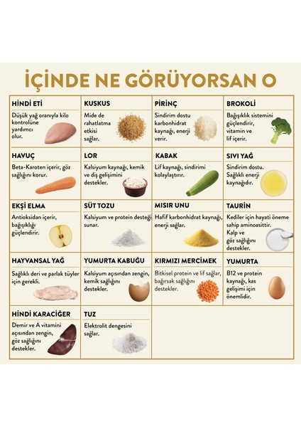 Fresh Hindi Etli Kedi Yemeği 85 gr fırsatları