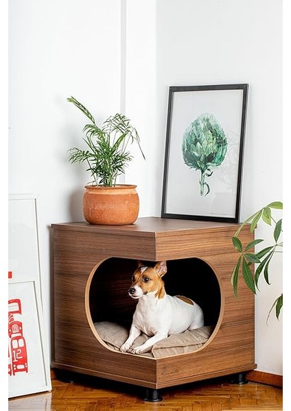 Üstü Kapalı Kedi Köpek Kulubesi