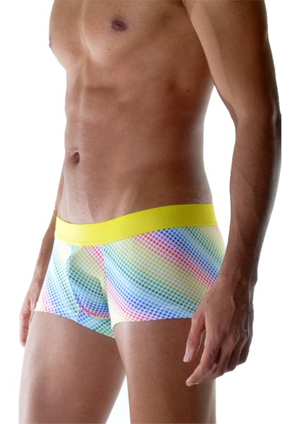 Renkli Boxer modelleri