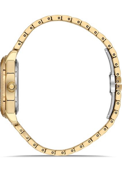 FL21632AWT-B Quartz Çelik Altın Rengi 32 mm Kadın Kol Saati fiyatları